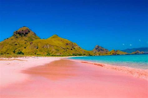 Pink Beach | DTour Komodo Travel