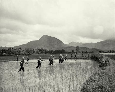 1965 1st Cavalry Division in Vietnam Photograph by Historic Image - Pixels