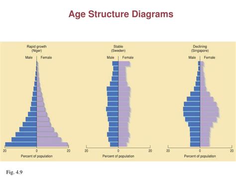 PPT - Human Population Growth Chapter 4 (and Section 3.3) PowerPoint Presentation - ID:809202