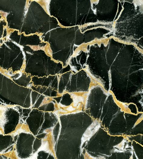 Black & Gold Marble (Portoro Limestone, Upper Triassic; Po… | Flickr