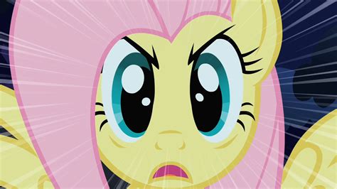 Image - Fluttershy Stare S01E17.png - My Little Pony Friendship is Magic Wiki