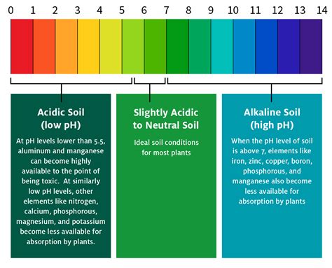 How To Reduce Ph Level » Summeractor