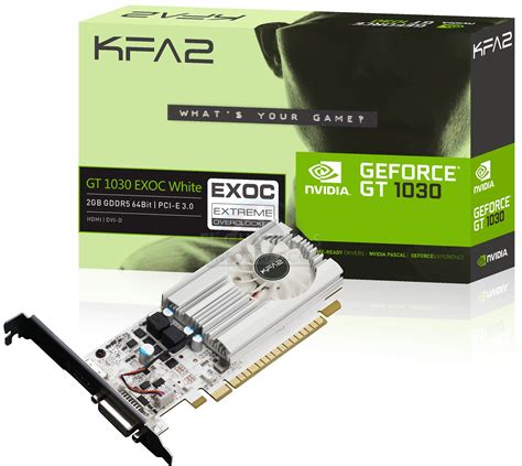 NVIDIA GeForce GT 1030 Custom Model and Specifications Revealed