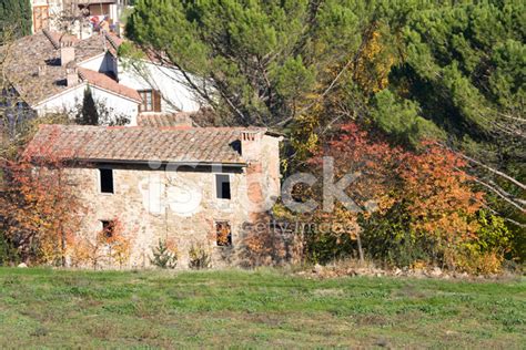 Autumn In Tuscany Stock Photo | Royalty-Free | FreeImages