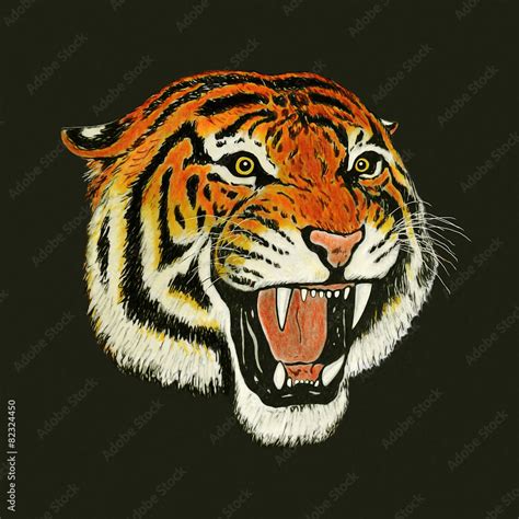 tiger roar drawing Stock Illustration | Adobe Stock