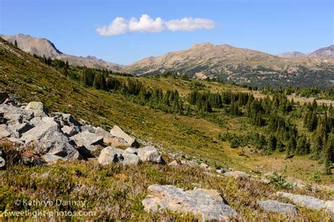 A Hike in Jasper National Park - Sweet Light Photos