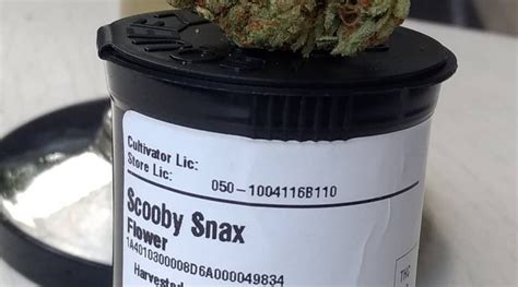 Strain Review: Scooby Snacks by Injoy Cannabis - The Highest Critic