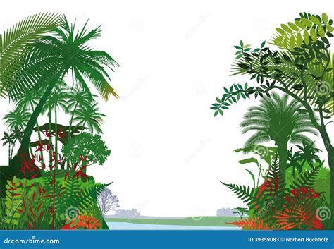 Foresta pluviale tropicale illustrazione vettoriale. Illustrazione di fiume - 39359083