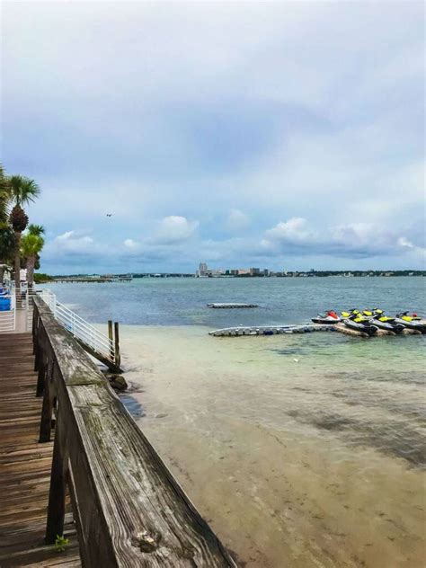 Sand Key Beach: Insider Secrets for a Florida Vacation - Coastal Wandering