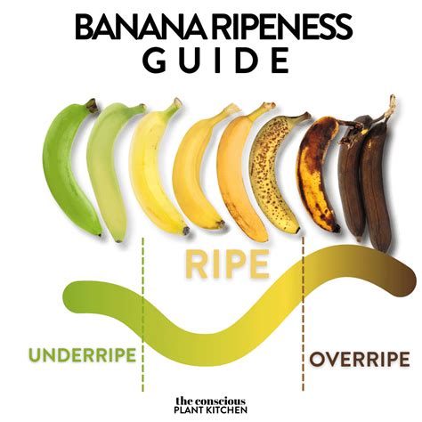 15+ Healthy Vegan Ripe Banana Recipes - The Conscious Plant Kitchen