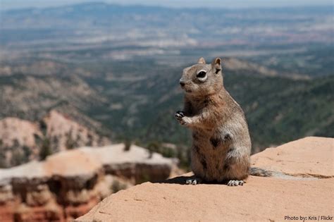 Interesting facts about Bryce Canyon National Park | Just Fun Facts