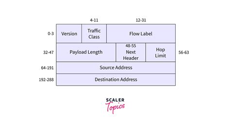 Internet Protocol Version 6 Header Format - Scaler Blog