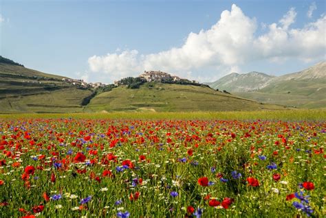 14 Gorgeous Small Towns in Italy (+Map) - Touropia