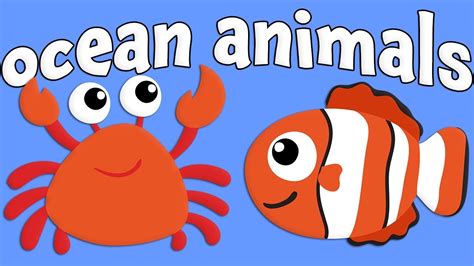 Ocean Animals For Kids Research