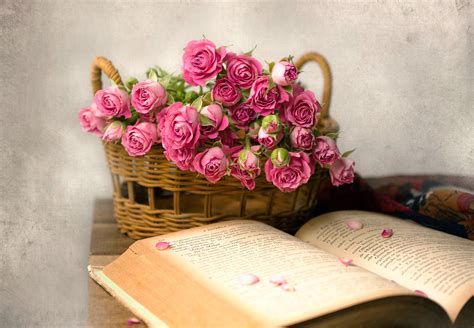 rose, Flowers, Books, Baskets, Pink flowers Wallpapers HD / Desktop and Mobile Backgrounds