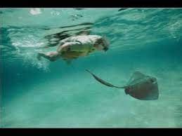 Steve Irwin Death Video - Stingray killed Steve Irwin at 44