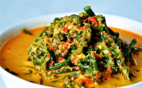 RESEP GULAI PAKIS SANTAN PADANG | Resep Masakan Indonesia