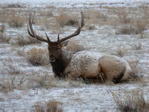 Rocky Mountain National Park Archives - Colorado Mountain Mom