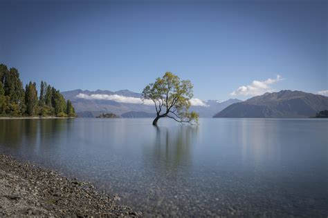 "That Wanaka Tree" in Lake Wanaka, New Zealand [6700x4450] #nature # ...