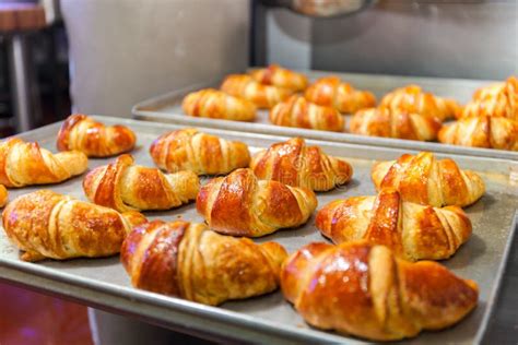 Fresh Baked Croissants on Baking Sheet Stock Photo - Image of baking ...