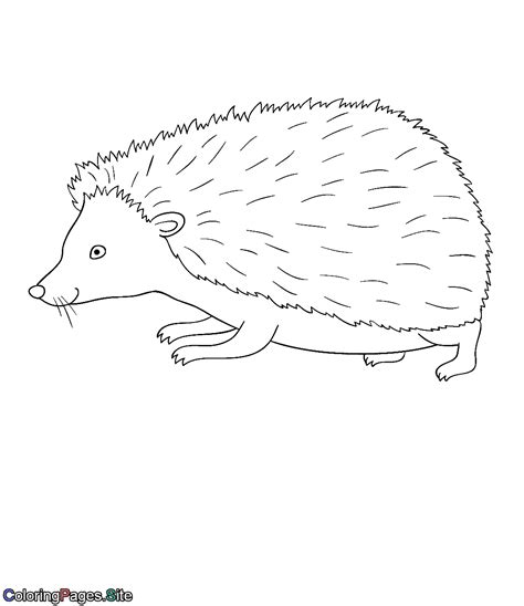 Hedgehog coloring page