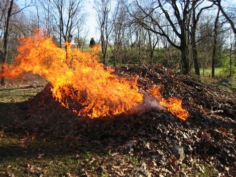 Maynard Life Outdoors and Hidden History of Maynard: Leaf Pile - Burn or Compost?