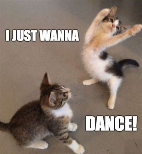 I Just Wanna Dance Meme - Margaret Wiegel