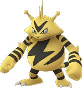 Pokemon GO Electabuzz Raid Boss | Max CP | Evolution | Moves | Spawns