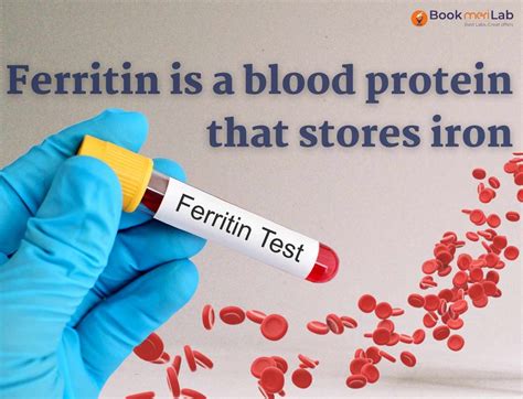 Ferritin Test Price, Purpose, Result & Range [2024] • Bookmerilab