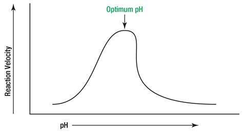 Effects of pH | Worthington Biochemical