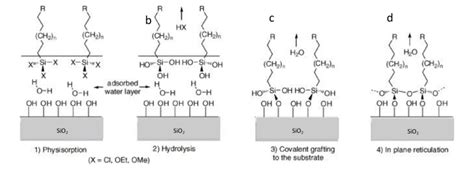 9 Scheme of the different steps involved in the mechanism of... | Download Scientific Diagram