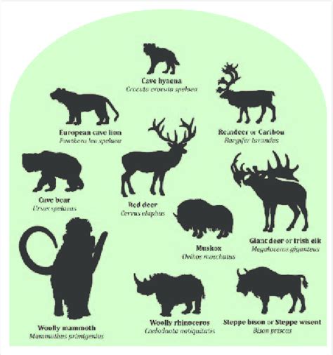 Mammal faunal elements of the ice-age Mammoth Steppe, a hybrid of ...