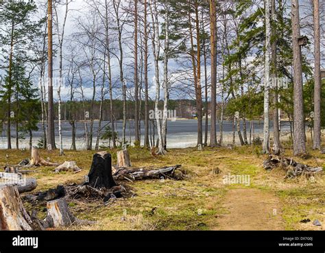 early spring with melting ice and snow Stock Photo - Alamy