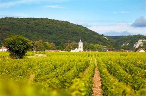 Chateau de Pommard in France's Burgundy region does fine wine - THE F ...