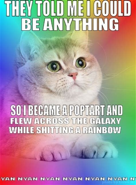 nyan cat iz hilarious | Lolz | Nyan cat, Funny cats, Best cat memes