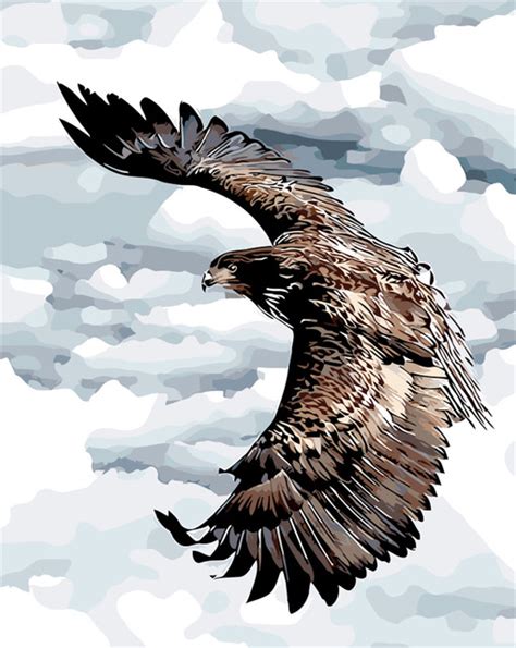 Soaring Eagle Drawing at PaintingValley.com | Explore collection of Soaring Eagle Drawing