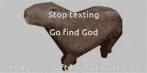 Meme Capybara GIF - Meme Capybara - Discover & Share GIFs