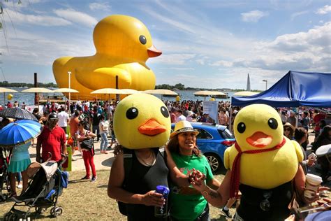 The World Is in Crisis; A Giant Rubber Duck Is in Maine