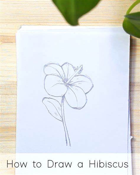 How To Draw A Perfect Flower Step By Step