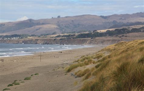 Bodega Dunes in Bodega Bay, CA - California Beaches