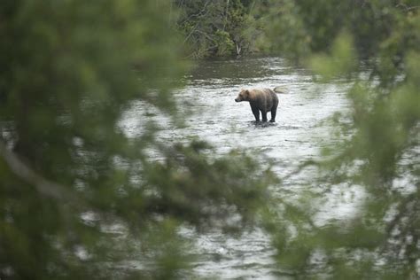 9 Unique Ways to Visit Alaska This Summer - AFAR