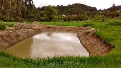 Pond digging with backhoe - was it well done? (ponds forum at permies)