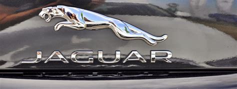 The Jaguar Symbol | History of the Jaguar Logo