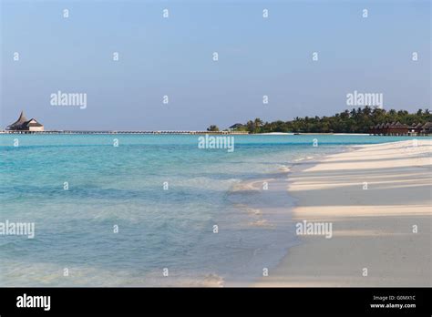 maldives island beach with palm tree and villa Stock Photo - Alamy