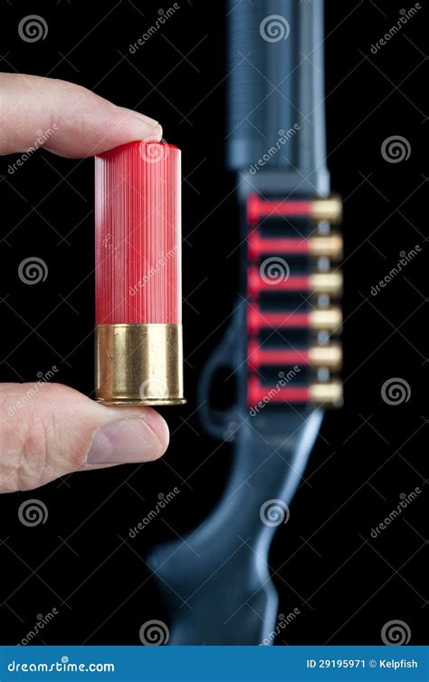 Shotgun shell stock image. Image of shooting, holding - 29195971