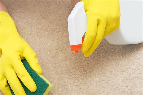 Tide Detergent Carpet Cleaning - Carpet Vidalondon