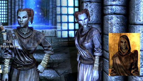 Mage apprentice robes on Brelyna Maryon | Skyrim mage, Buddha statue, Statue