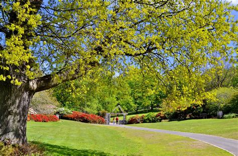 Belfast Parks Photographic Competition | belfastcitycouncil | Flickr