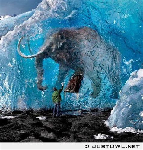Real Mammoth Found in Ice | Unbelievable Pictures, Cool Pictures, Fossils