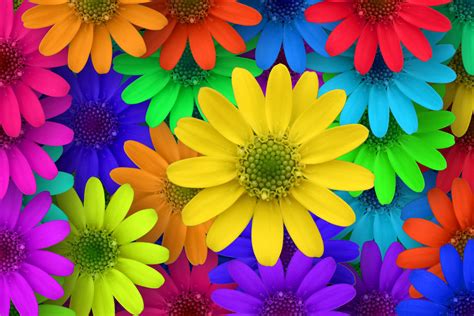 Free download | HD wallpaper: red, blue, green, yellow, and orange flowers illustration, blossom ...